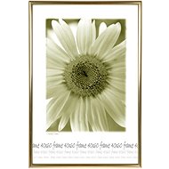 Tradag Photo Frame 40 x 60 Gold - Photo Frame