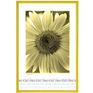 Tradag Photo Frame 40 x 60 Yellow - Photo Frame