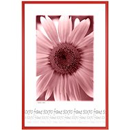 Tradag Photo Frame 50 x 70cm Red - Photo Frame