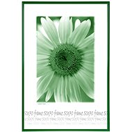 Tradag Photo Frame 50 x 70cm Green - Photo Frame