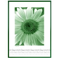 Tradag 70 x 100 Green Plexiglass - Photo Frame