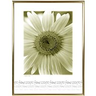Tradag 70 x 100 Gold Plexiglass - Photo Frame