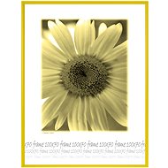 Tradag 70 x 100 Yellow Plexiglass - Photo Frame