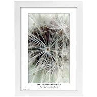 TRADAG Natura 20 x 30 white - Photo Frame