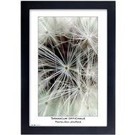 TRADAG Natura 20 x 30 black - Photo Frame