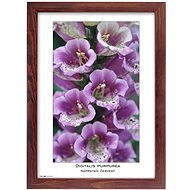 TRADAG Natura 21 x 29,7 - A4 brown - Photo Frame