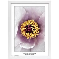 TRADAG Natura 29,7 x 42 - A3 white - Photo Frame
