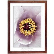 TRADAG Natura 29,7 x 42 - A3 brown - Photo Frame