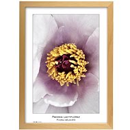 TRADAG Natura 29,7 x 42 - A3 natural - Photo Frame