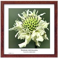 TRADAG Natura 30 x 30 brown - Photo Frame
