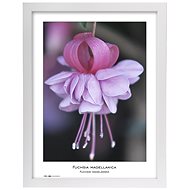 TRADAG Natura 30 x 40 white - Photo Frame