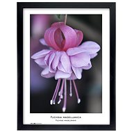 TRADAG Natura 30 x 40 black - Photo Frame