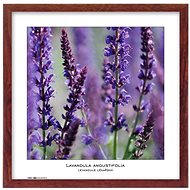 TRADAG Natura 40 x 40 brown - Photo Frame