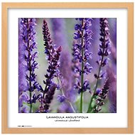 TRADAG Natura 40 x 40 natural - Photo Frame