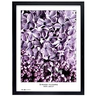 TRADAG Natura 40 x 50 black - Photo Frame
