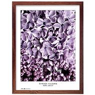 TRADAG Natura 40 x 50 brown - Photo Frame