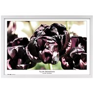 TRADAG Natura 40 x 60 white - Photo Frame