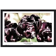 TRADAG Natura 40 x 60 black - Photo Frame