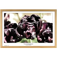 TRADAG Natura 40 x 60 natural - Photo Frame