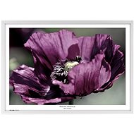 TRADAG Natura 70 x 100 white - Photo Frame