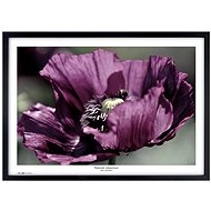 TRADAG Natura 70 x 100 black - Photo Frame
