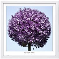 TRADAG Natura 50 x 50 white - Photo Frame