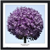 TRADAG Natura 50 x 50 black - Photo Frame