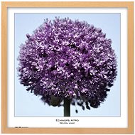 TRADAG Natura 50 x 50 natural - Photo Frame