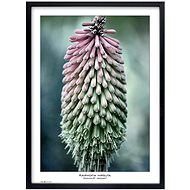 TRADAG Natura 50 x 70 black - Photo Frame