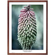 TRADAG Natura 50 x 70 brown - Photo Frame