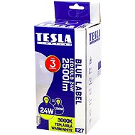 TESLA LED BULB E27, 24W, Warm White - LED Bulb