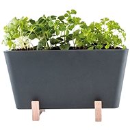 WaterWick - Self-watering Mini Box “Plant Box“ - Flower Box