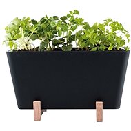 WaterWick - Self-watering Mini Box “Plant Box“ - Flower Box
