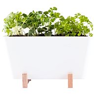 WaterWick - Self-watering Mini Box “Plant Box“ - Flower Box