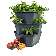 Paul Potato - A Three-Storey Potato Tower - Flower Pot