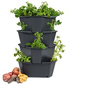 Paul Potato - A Four-Storey Potato Tower - Flower Pot