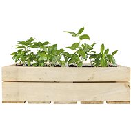 WaterWick - Wooden Self-watering Box “Windowsill“ - Flower Box