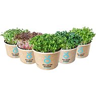 Grow Kit - A Set for Growing Microgreens - Microgreens Set