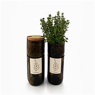 Grow Bottle - Basil - Microgreens Planter