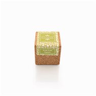 Grow Cube - Coriander - Microgreens Set