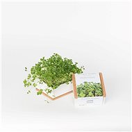 Grow Box Uno - Radish - Microgreens Planter