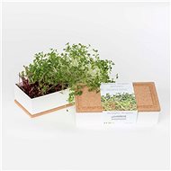 Grow Box Duo - Arugula, Cress - Microgreens Planter