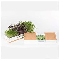 Grow Box Trio - Beets, Cress, Broccoli - Microgreens Planter