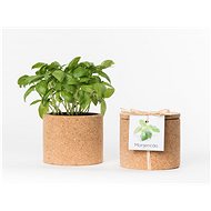 Grow Cork Pot - Oregano - Flower Pot