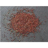 TvojeFarma Broccoli 50g - Seeds
