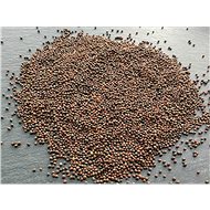 TvojeFarma Kale 100g - Seeds