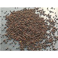TvojeFarma Red Kohlrabi 100g - Seeds