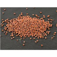 TvojeFarma Radish 50g - Seeds
