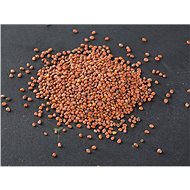 TvojeFarma White Radish - Daikon 100g - Seeds