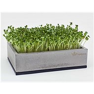 Designer Concrete Bowl for Microgreens - Microgreens Planter
